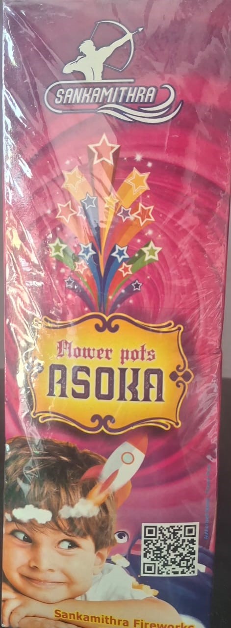 Flower Pots Asoka